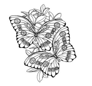 антистресс бабочки на цветке