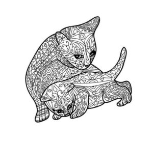 антистресс кошка и котенок