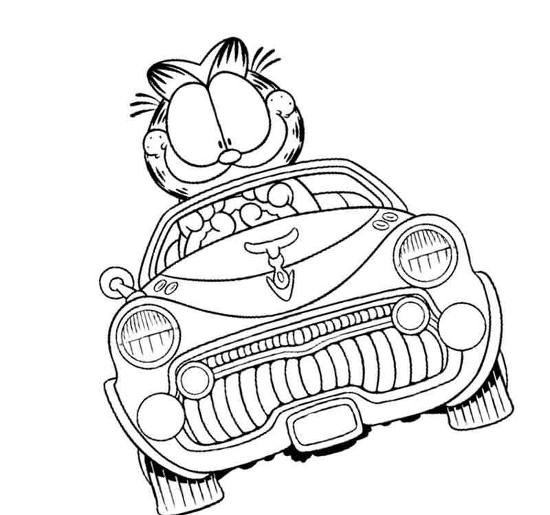 антистресс кот на машине