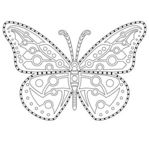 Бабочка мандала