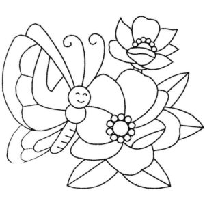 бабочка на крупном цветке