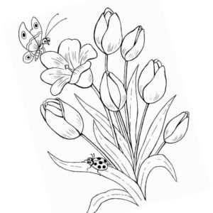 Раскраски Тюльпан | Распечатать бесплатно