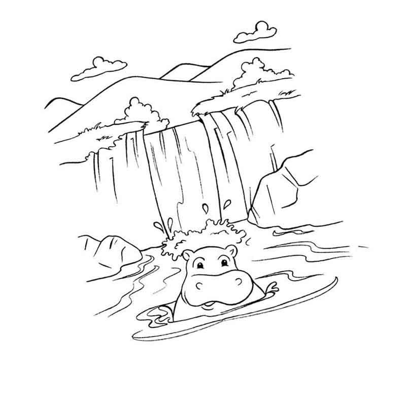 бегемот купается в воде