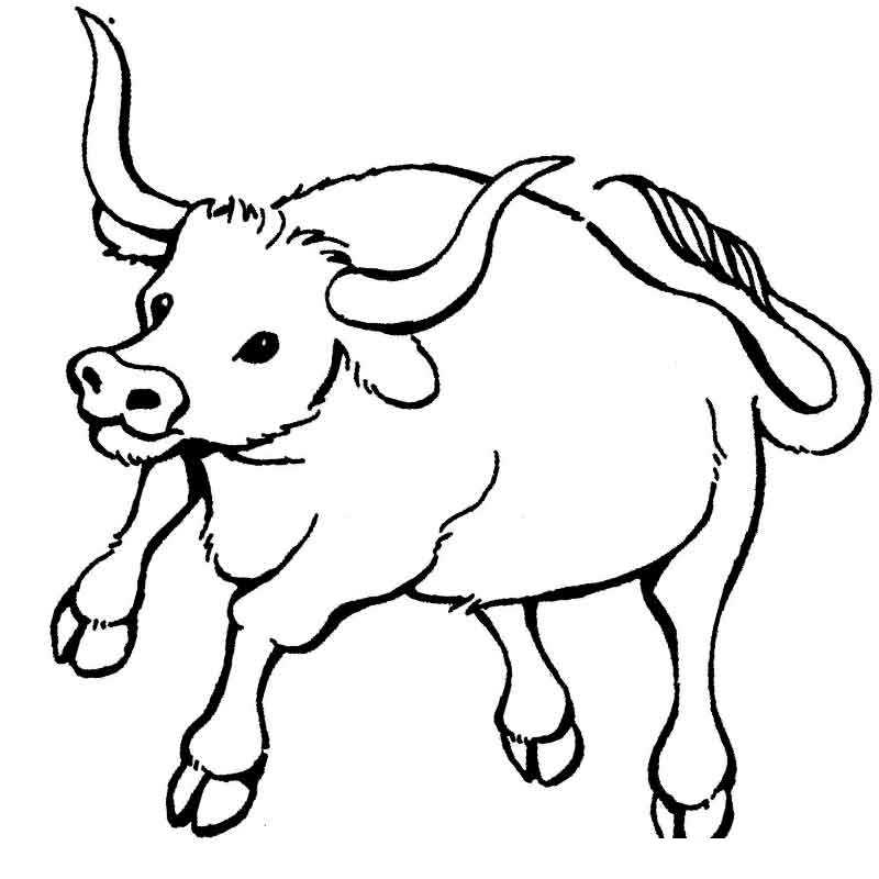 Рисунок быка раскраска для детей (43 фото)