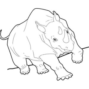 бегущий носорог