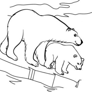 белый медведь и медвежонок