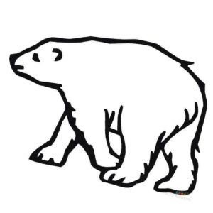 белый медведь идущий по льду