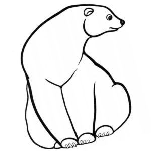 белый медведь на отдыхе