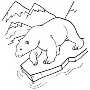 белый медведь плывет на льдине