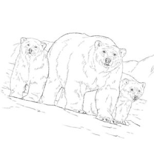 белый медведь с двумя медвежатами