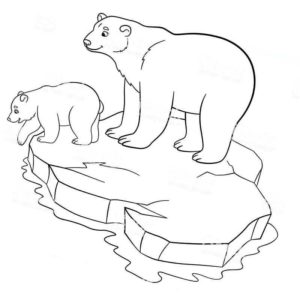 белый медведь с медвеженком на льдине
