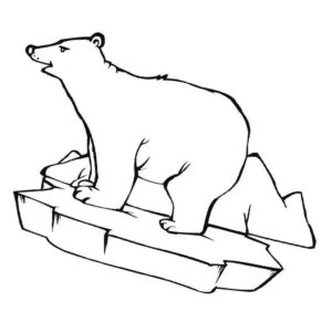 белый медведь стоит на льду