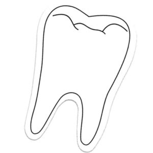 белый зуб