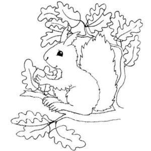 белочка сидит на ветке с осенними листьями