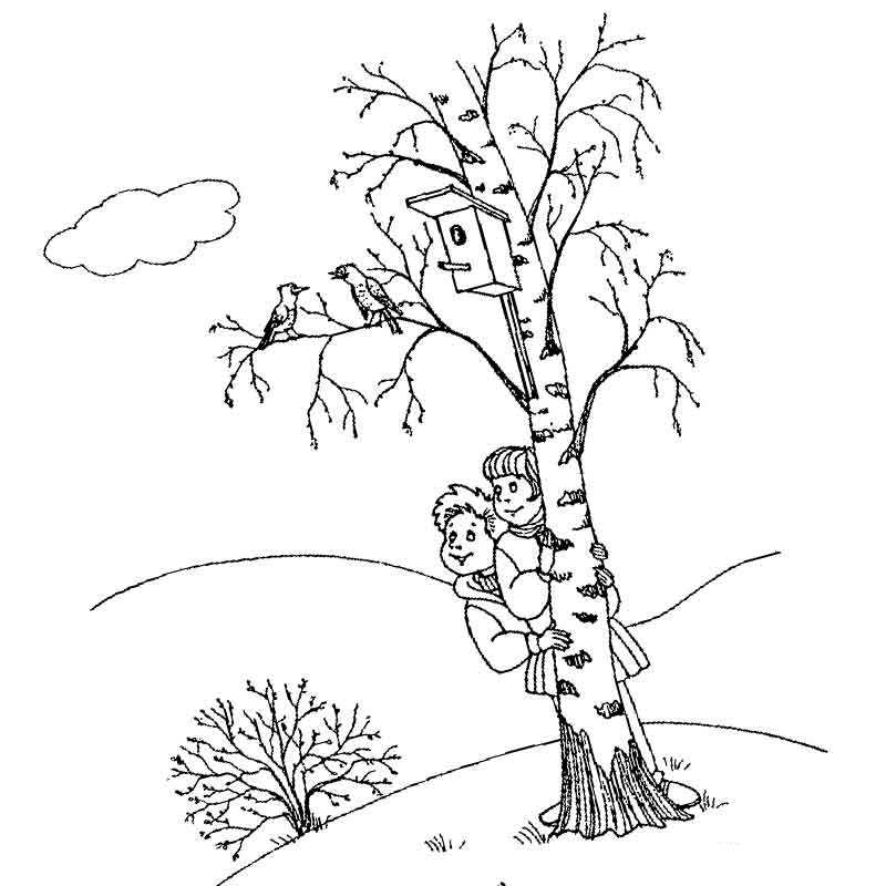 Раскраска Дерево берёза