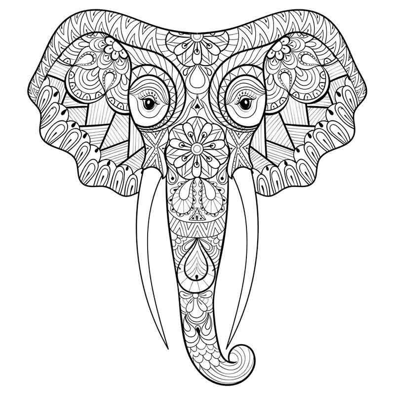 Большая голова слона антистресс