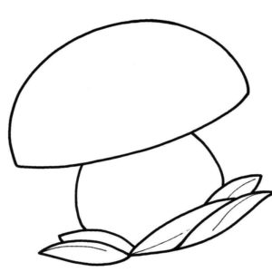 большой белый гриб