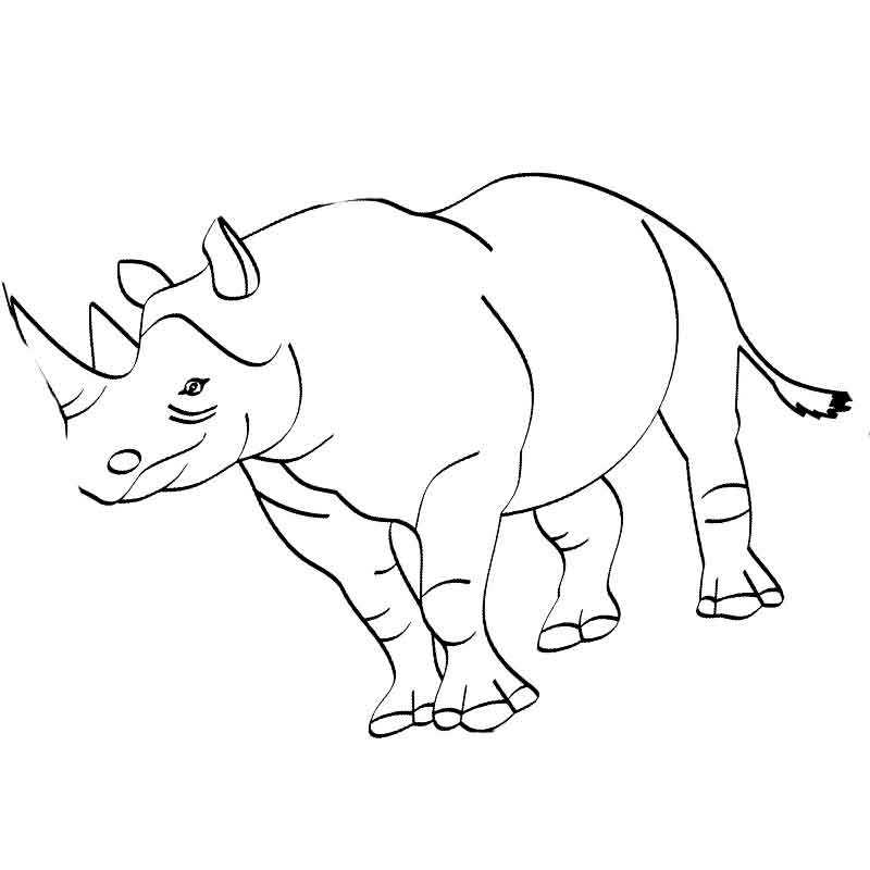 большой носорог