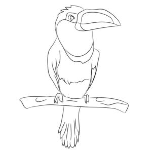 Большой попугай на ветке