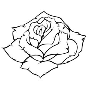 бутон розы