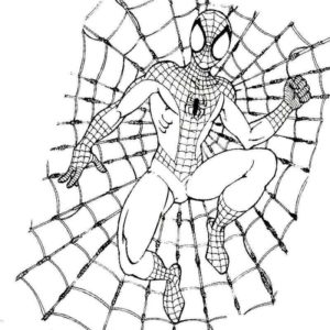 Человек паук на паутине
