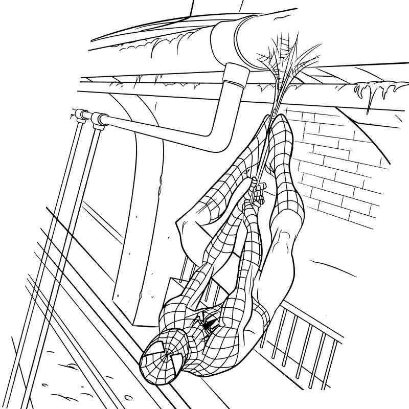 Человек паук висит на паутине