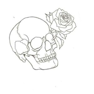 череп и роза