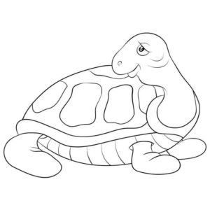 Черепаха долгожитель