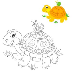 Черепаха с улиткой