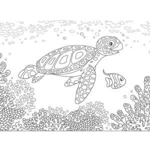 Черепахи в океане