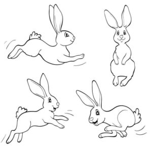 Четыре кролика