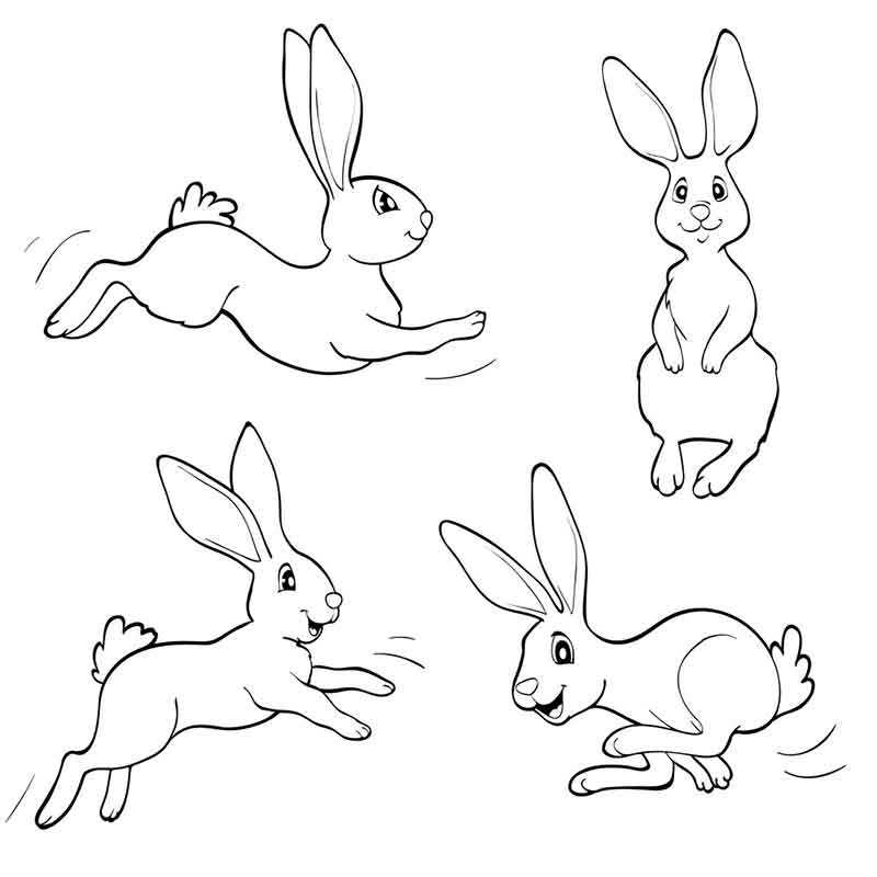 Четыре кролика
