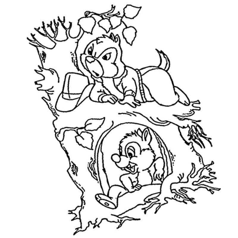 Чип и Дейл на дереве