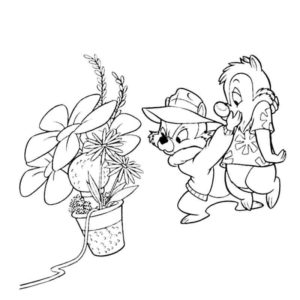 Чип и Дейл подозрительно смотрят на цветок