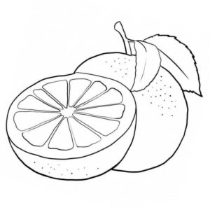 цитрус фрукт апельсин