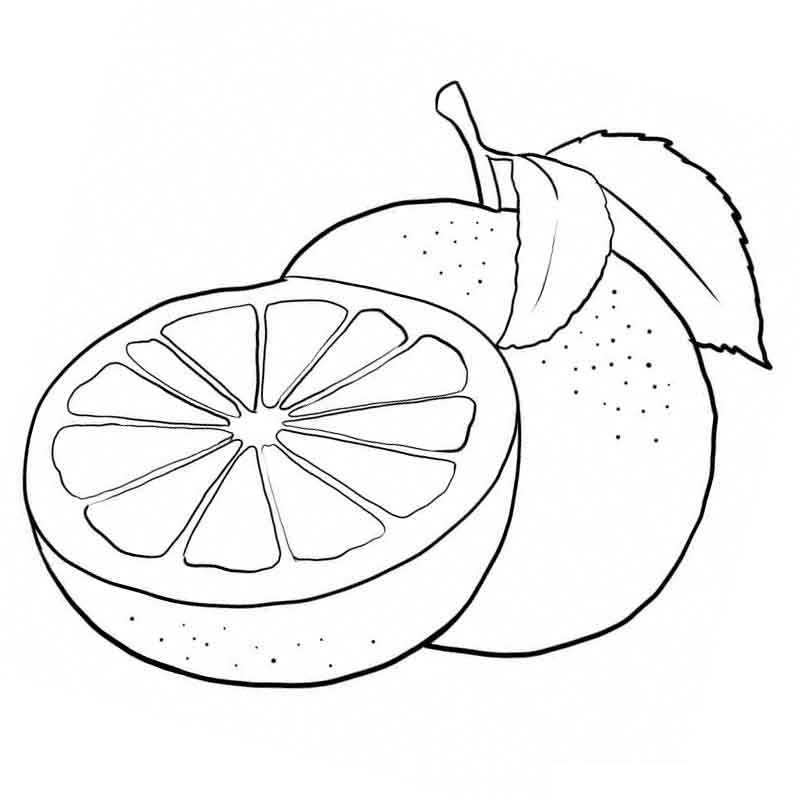 цитрус фрукт апельсин