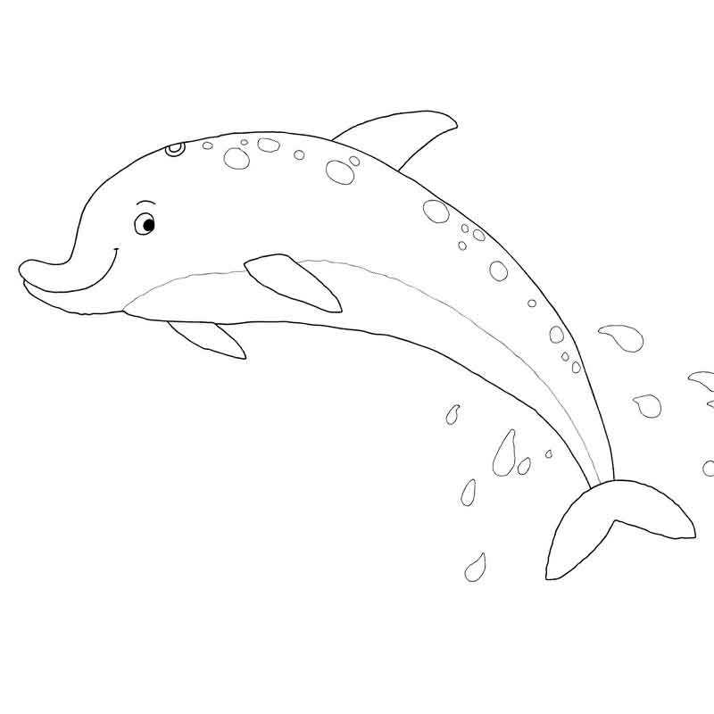 Раскраска дельфин для детей распечатать бесплатно | Дельфины, Раскраски, Милые рисунки
