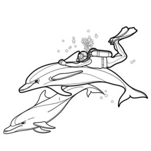 Дельфины с водолазом