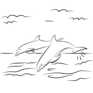Дельфины веселятся