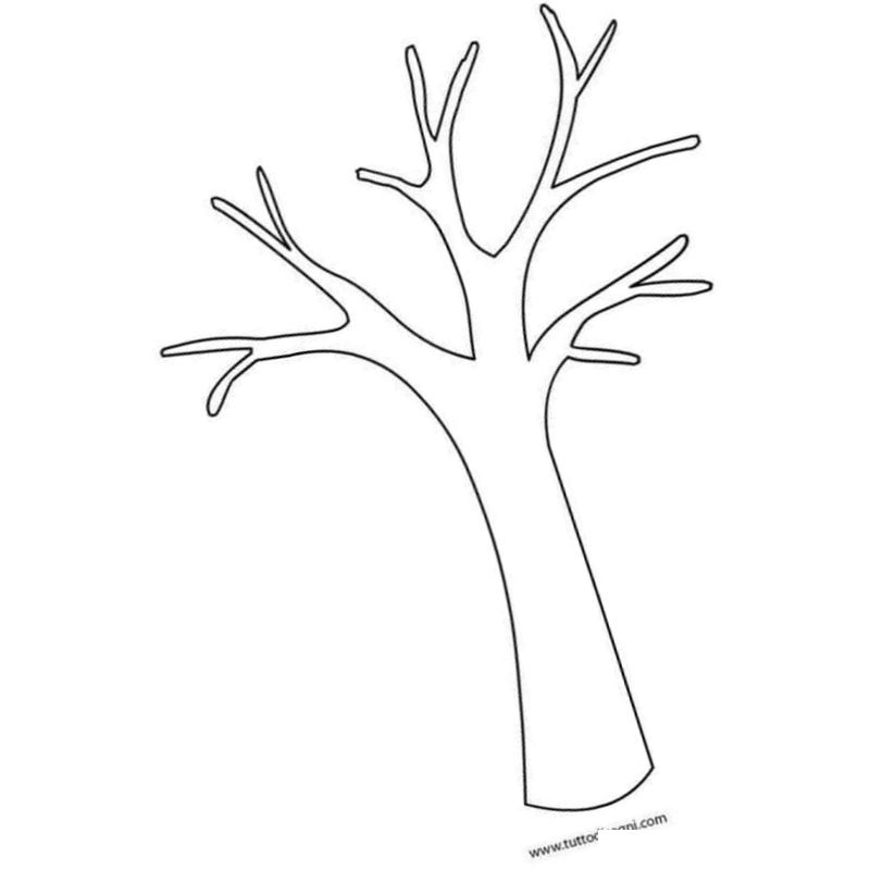 дерево ствол без листьев