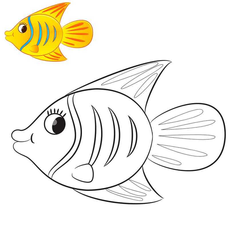 Раскраски рыбы. Скачать или распечатать раскраски рыбы для детей