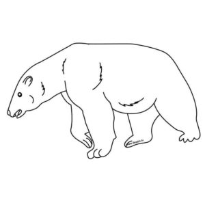 детский белый медведь