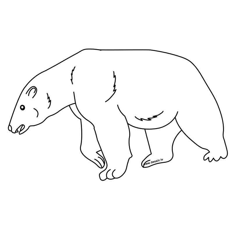 детский белый медведь