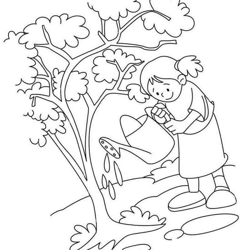 девочка поливает дерево водой