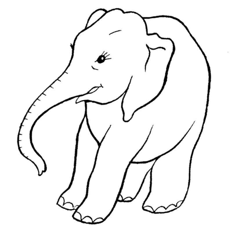 Раскраска Африканский слон с семьёй распечатать беслатно