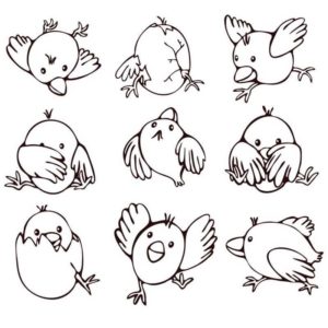 Девять цыплят