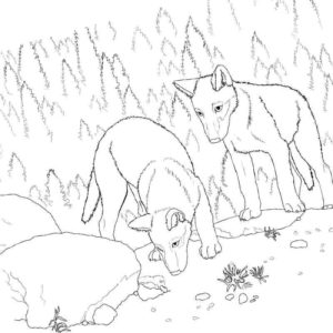 дикие животные волки в лесу