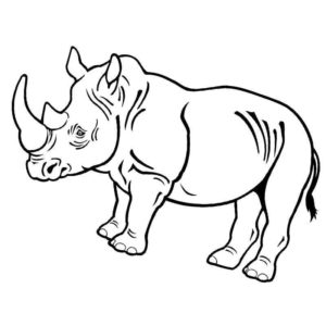 дикий носорог