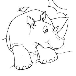 дикое животное носорог