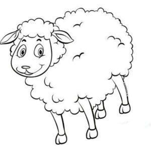 домашние живоные веселая овечка
